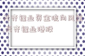 天齐锂业资金流向凤凰,天齐锂业港股