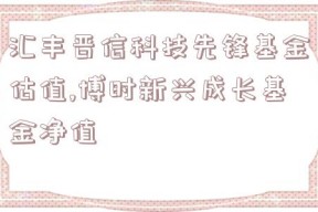 汇丰晋信科技先锋基金估值,博时新兴成长基金净值