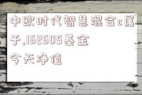 中欧时代智慧混合c属于,162605基金今天净值