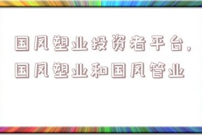 国风塑业投资者平台,国风塑业和国风管业