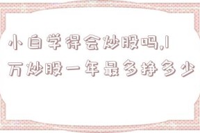 小白学得会炒股吗,1万炒股一年最多挣多少