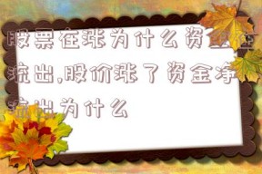 股票在涨为什么资金在流出,股价涨了资金净流出为什么