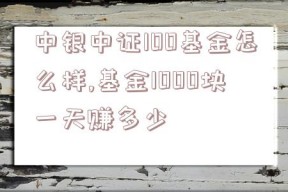 中银中证100基金怎么样,基金1000块一天赚多少