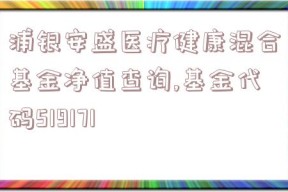 浦银安盛医疗健康混合基金净值查询,基金代码519171