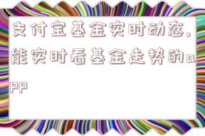 支付宝基金实时动态,能实时看基金走势的app