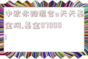 中欧永裕混合a天天基金网,基金070001