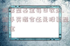 股票型基金每日收益,新手买混合还是股票型基金