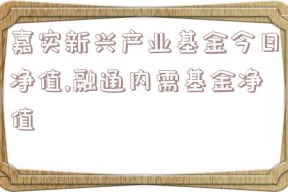 嘉实新兴产业基金今日净值,融通内需基金净值