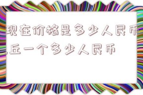 现在价格是多少人民币,丘一个多少人民币