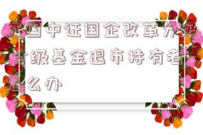 富国中证国企改革分级,分级基金退市持有者怎么办