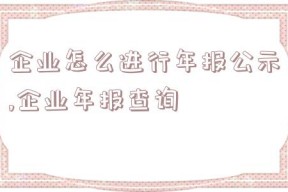 企业怎么进行年报公示,企业年报查询