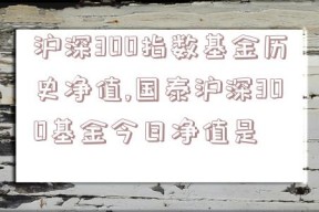 沪深300指数基金历史净值,国泰沪深300基金今日净值是