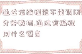 通达信编程能不能调用分钟数据,通达信编程用什么语言