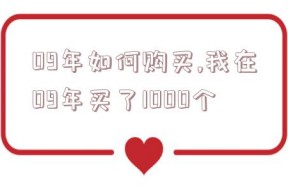 09年如何购买,我在09年买了1000个