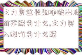 主力资金长期净流出股价不跌为什么,主力买入股价为什么跌