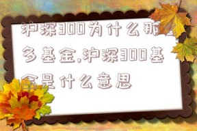 沪深300为什么那么多基金,沪深300基金是什么意思