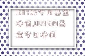 163402今日基金净值,009539基金今日净值