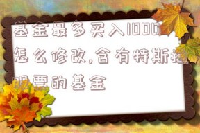 基金最多买入1000怎么修改,含有特斯拉股票的基金