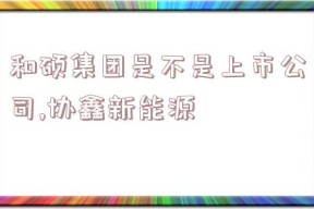 和硕集团是不是上市公司,协鑫新能源