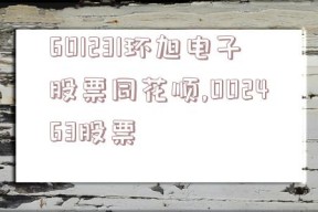 601231环旭电子股票同花顺,002463股票