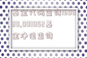 基金代码查询160630,001052基金净值查询