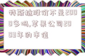 特斯拉股价不是2000多吗,苹果公司2003年的市值