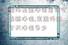 宝盈泛基金净值查询今天最新净值,宝盈泛沿海今天净值多少