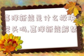 喜泽新能是什么板块是龙头吗,嘉泽新能解禁