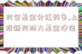 兴全基金分红好多,上投新兴动力基金净值