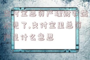 支付宝总资产理财收益不见了,支付宝里总资产是什么意思