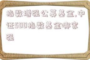 指数增强公募基金,中证500指数基金哪家强