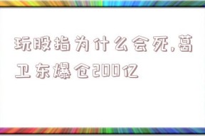 玩股指为什么会死,葛卫东爆仓200亿