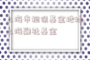 上海市担保基金地址,上海融社基金