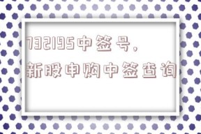 732195中签号,新股申购中签查询