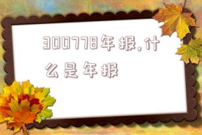 300778年报,什么是年报