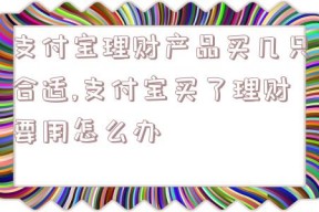 支付宝理财产品买几只合适,支付宝买了理财要用怎么办