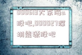 000613大东海a股吧,000027深圳能源股吧