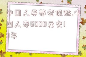 中国人寿养老保险,中国人寿6000元交10年