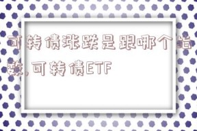 可转债涨跌是跟哪个指数,可转债ETF