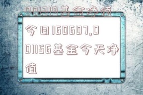 001319基金净值今日160607,001156基金今天净值