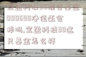 宝盈科技30混合基金000698净值还会掉吗,宝盈科技30这只基金怎么样