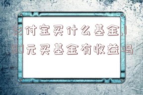 支付宝买什么基金,100元买基金有收益吗