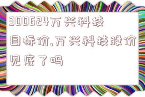 300624万兴科技目标价,万兴科技股价见底了吗