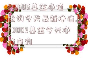 519606基金净值查询今天最新净值,590002基金今天净值查询