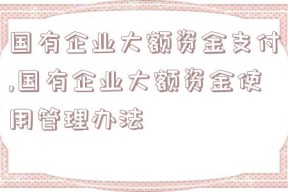 国有企业大额资金支付,国有企业大额资金使用管理办法