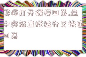 涨停打开缓慢回落,盘中突然直线拉升又快速回落