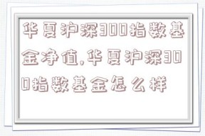 华夏沪深300指数基金净值,华夏沪深300指数基金怎么样