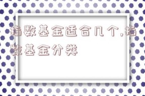 指数基金适合几个,指数基金分类