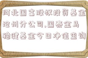 河北国富股权投资基金沧州分公司,国泰金马稳健基金今日净值查询