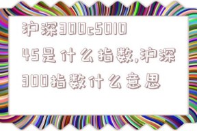 沪深300c501045是什么指数,沪深300指数什么意思